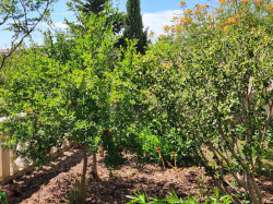 Apartmany Karlobag Karlobag