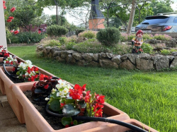 Apartmany Myrta Krk (Ostrov Krk)