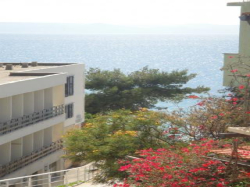 Apartmany Apartmani Ivanka Podgora