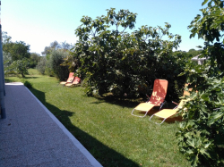 Apartmany ADRI Štinjan