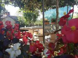 Apartmany M&M Žminj